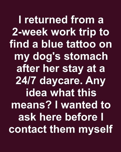 Exploring Pet Tattoos: Popular Trends and Motivations