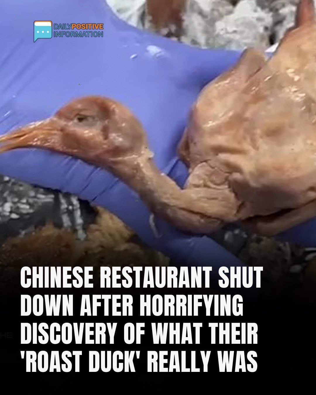 Authorities Close Chinese Restaurant After Disturbing Discovery In ‘Roast Duck’