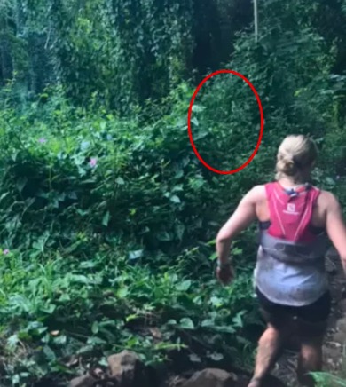 Woman snaps photo running through rainforest – later spots haunting detail in the bushes