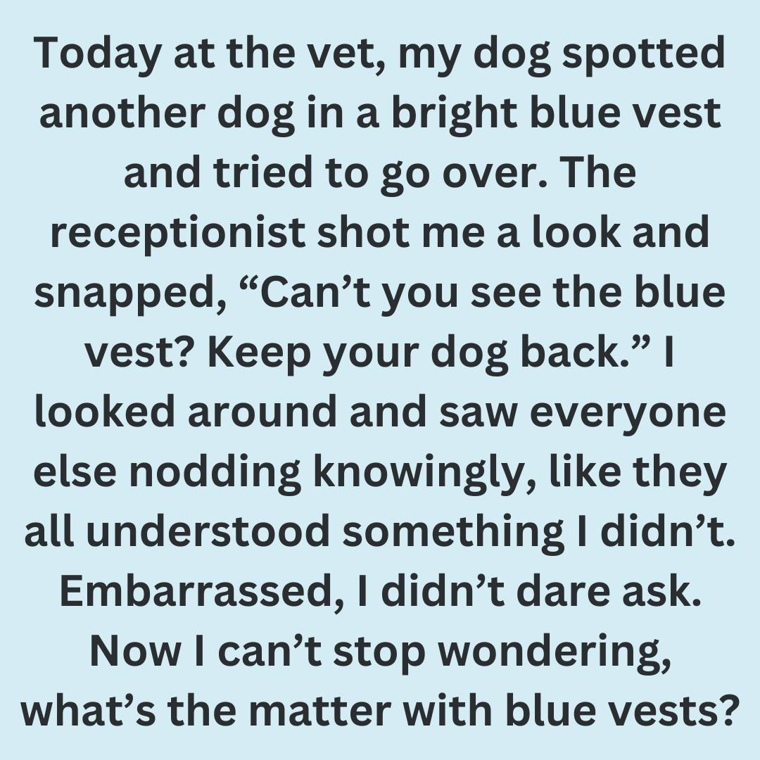 What It Means When a Dog Wears a Blue Vest, Leash, or Bandana