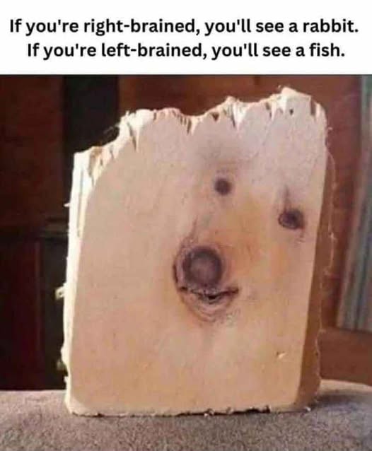 Challenge your brain with this thrilling puzzle and uncover what lies beneath!