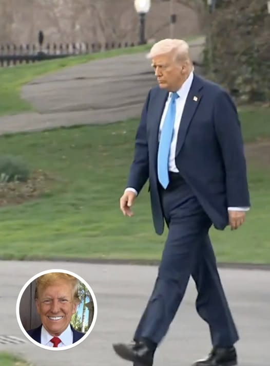 Photo Of Trump Walking Toward Marine One Turns Heads After People Spot Small Detail