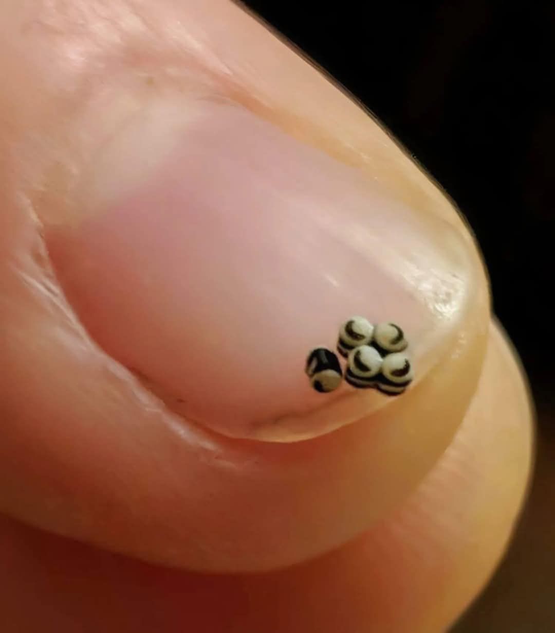 We ordered a salad, but there were tiny black specks in the food – we went straight to the hospital