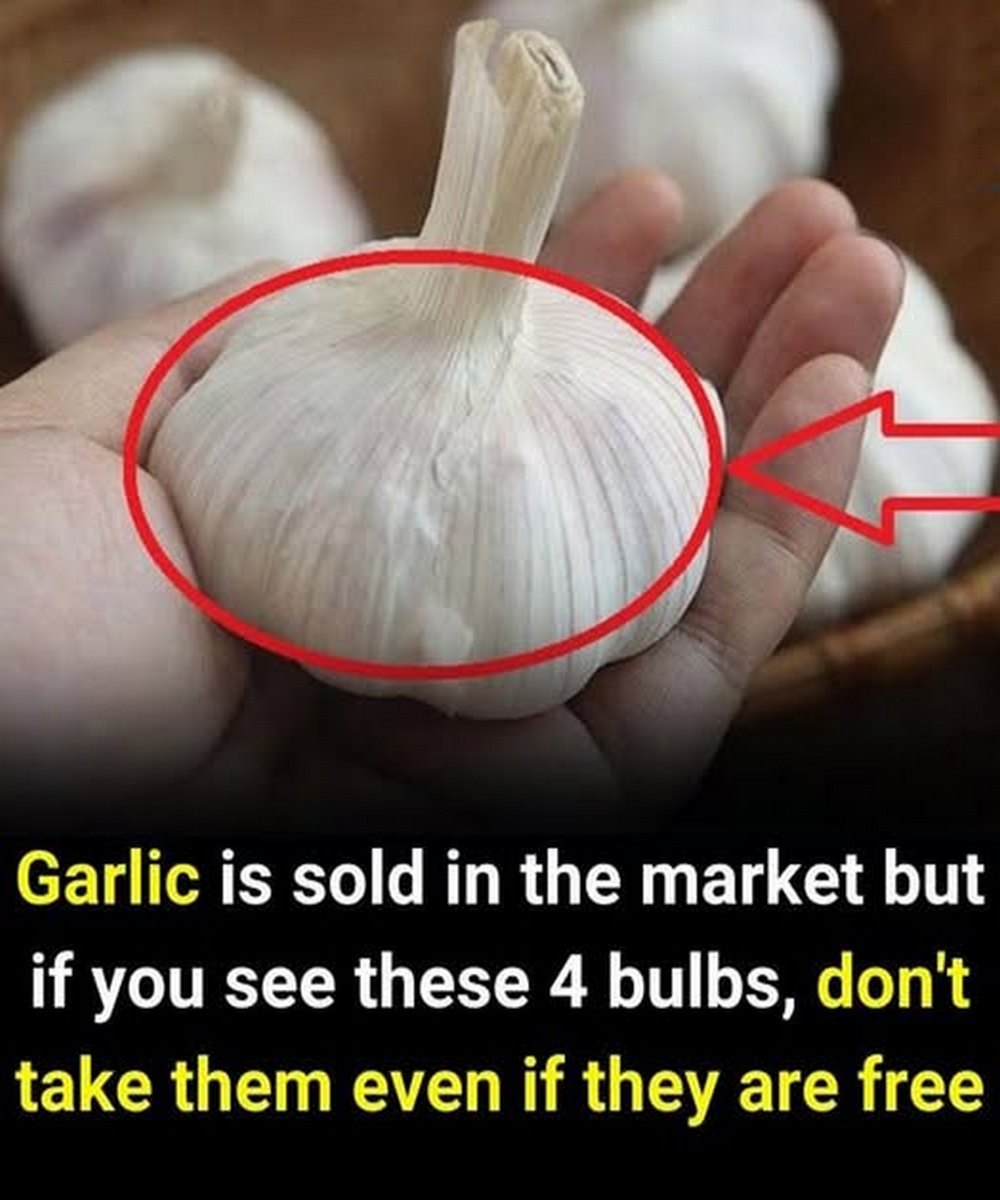 Even if they are given for free, you shouldn’t take them