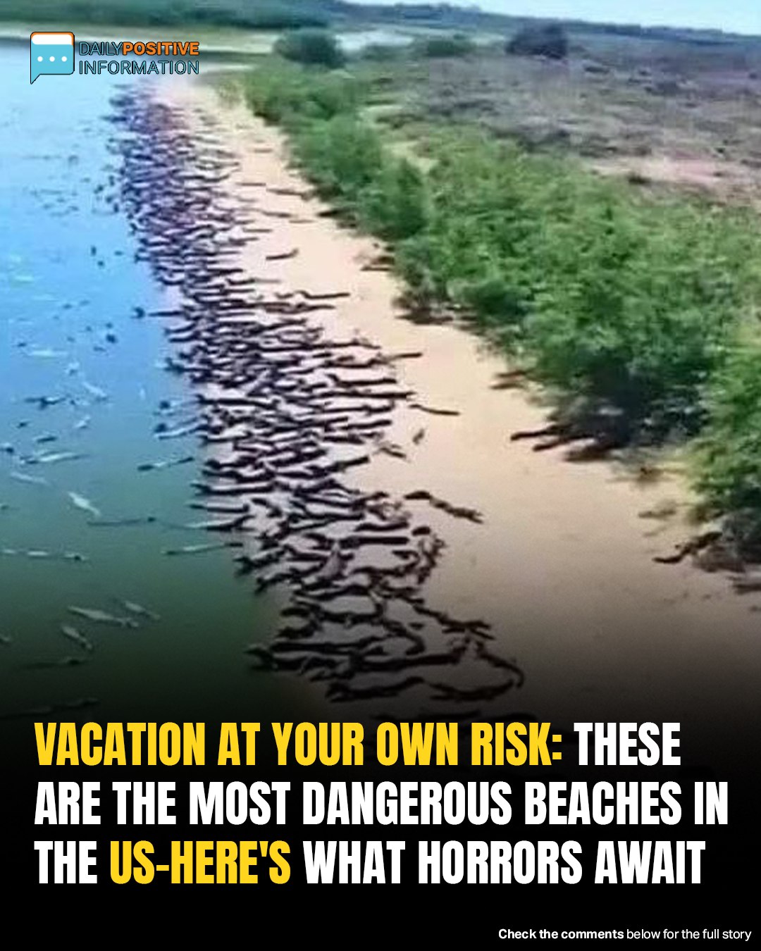 Don’t Swim Here: Most Treacherous American Beaches And Their Hidden Dangers