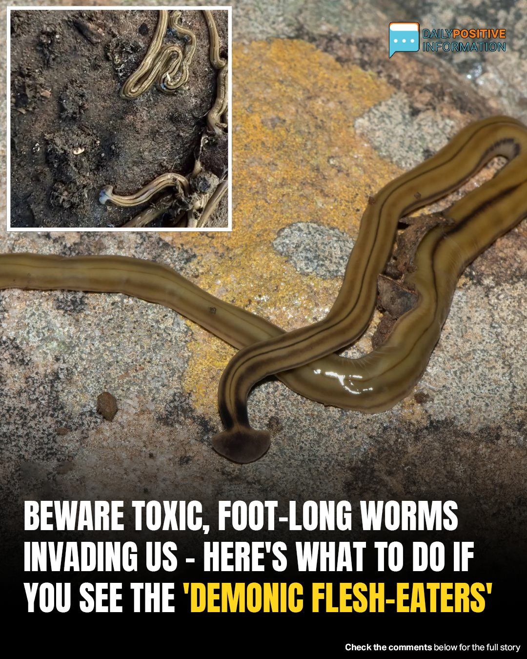 Scientists Warn Foot-Long “Demonic Flesh-Eating” Worms Are Invading The U.S.—Here’s What To Do