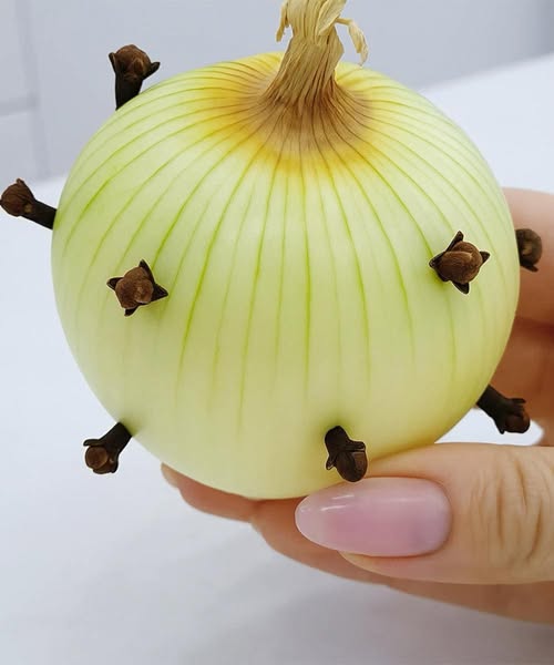 The Secret Ingredient: Why My Grandmother Always Stuck Cloves into an Onion