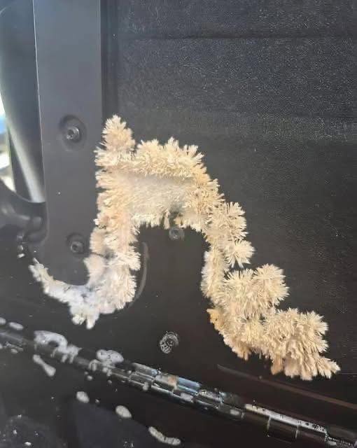 Under the back seat of my car, I noticed something very unusual