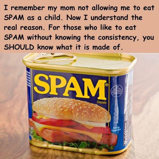 “What SPAM Really Is”