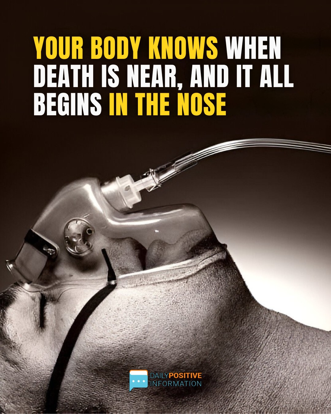 A Study Reveals: Your Body Knows When Death Is Near, And It All Begins In The Nose