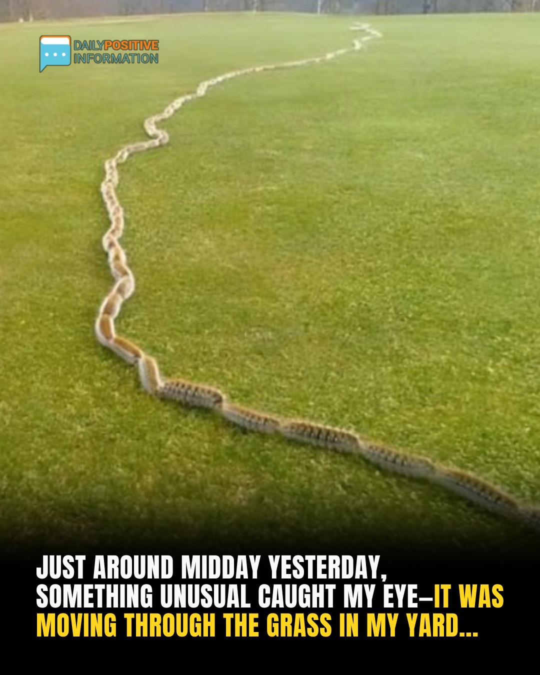 Shocking Discovery in the Grass Leaves Woman Frozen in Fear After Mistaking It for a Rope