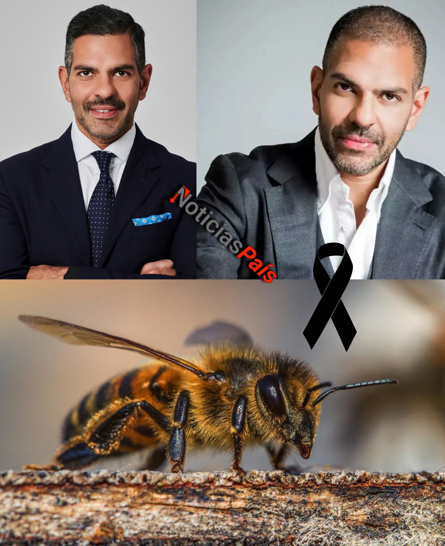 What happened to Sunjay Kapur, a millionaire businessman close to Prince William