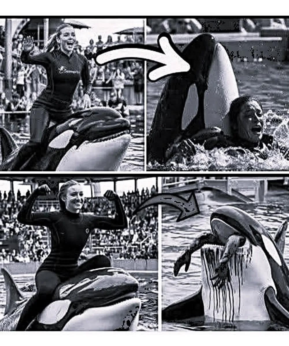 Coach Orca is Destroy by this thing while