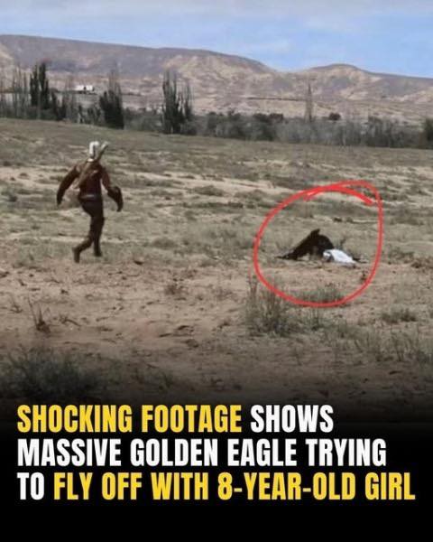 Shocking Footage Shows Massive Golden Eagle Trying To Fly Off With 8-Year-Old Girl