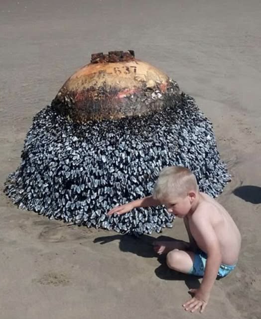 Dad Shares Innocent Photo Of His Son At Beach, Authorities Act Fast After Spotting Small Detail
