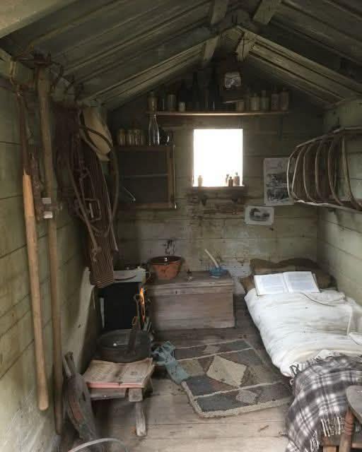 THIS OLD CABIN WAS THE ONLY INHERITANCE I GOT FROM MY GRANDPARENTS—AND IT MADE ME RICHER THAN I EVER IMAGINED