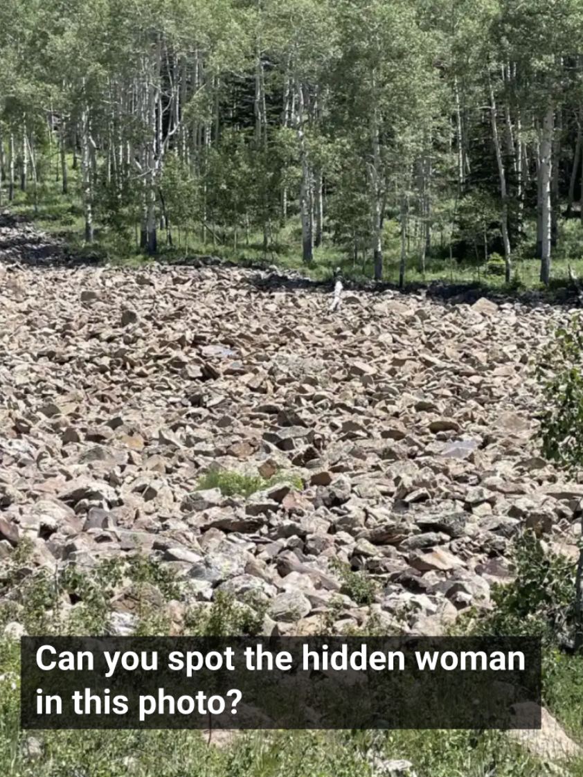 Only People With Eagle Eyes Can Spot The ‘Hidden’ Woman In This Photo