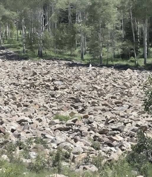 Can You Spot the Hidden Woman in This Photo?