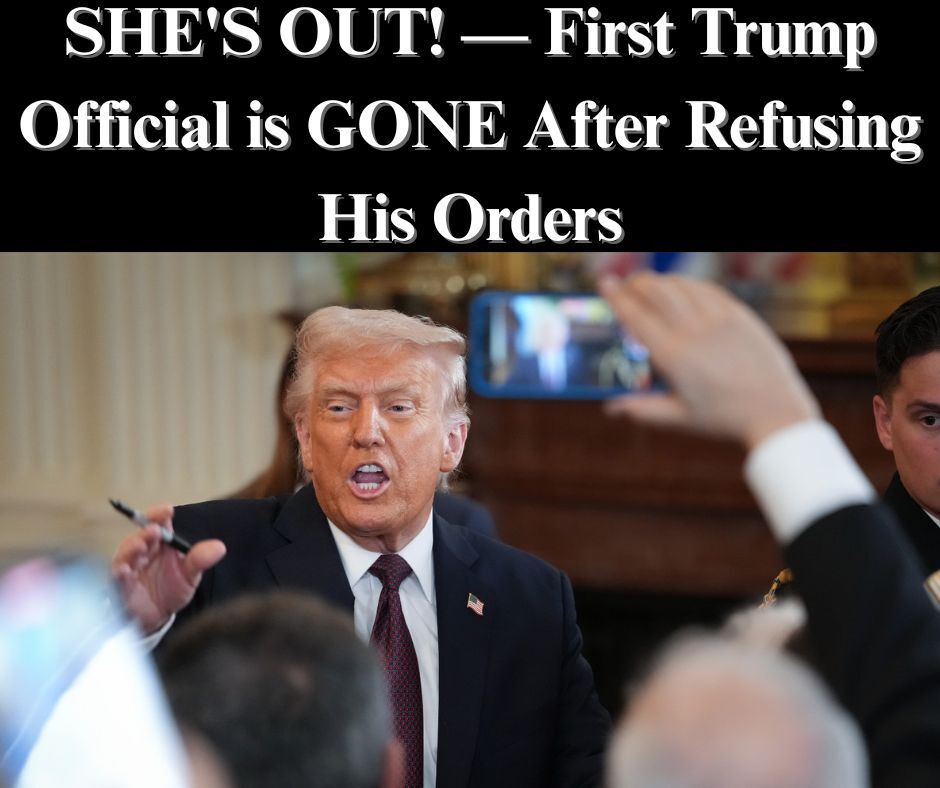 Acting IRS Chief Resigns After Refusing to Comply With Illegal Immigrant-Sharing Deal