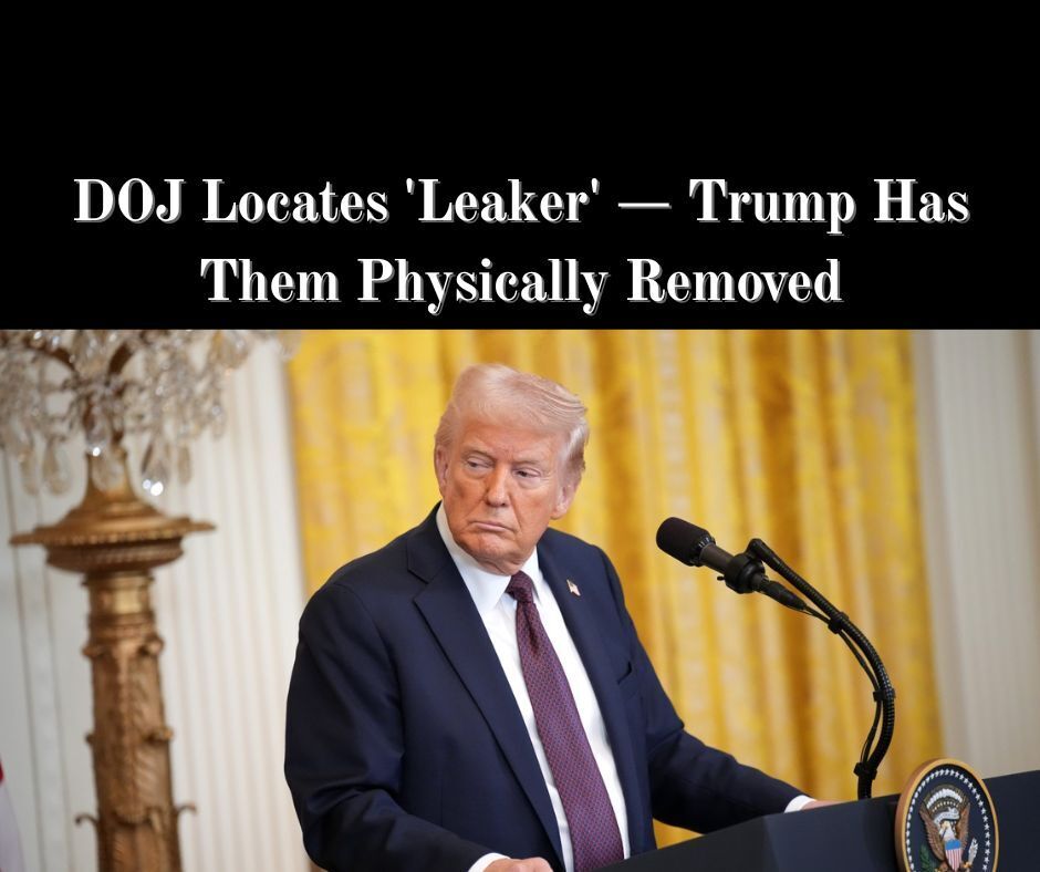 Top Anti-Trump ‘Russia Hoax’ Lawyer Fired After Damning Report