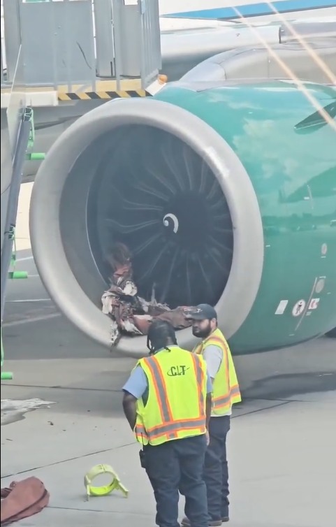 Frontier A320 Incident: Ground Equipment Sucked Into Engine Forces 9-Hour Delay