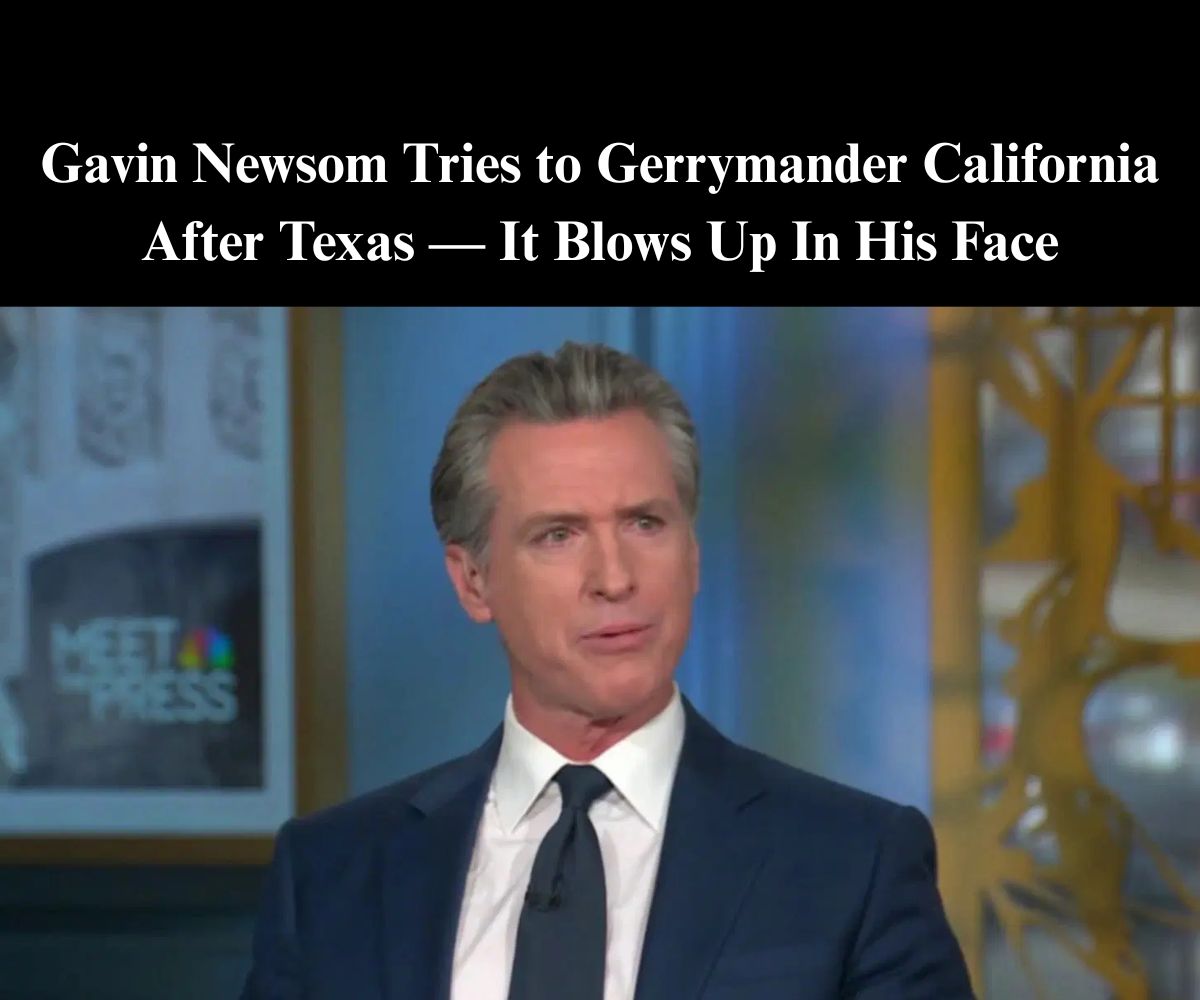 Newsom Gets Brutal News After Vowing to Further Gerrymander California