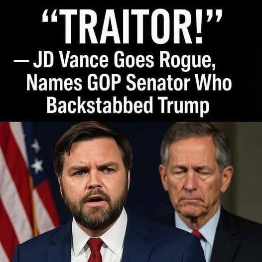 VP JD Vance Breaks Senate Tie To Advance $9.4 Billion Rescissions Package