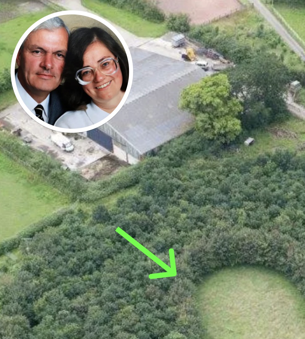 Husband’s 6,000-Tree Memorial for Late Wife Reveals Surprising Motivation Years Later