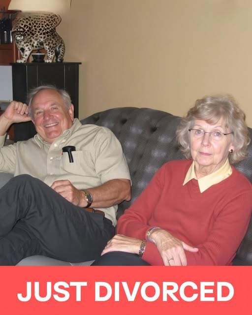 After 47 Years of Marriage, He Left — Now He’s Begging for Forgiveness