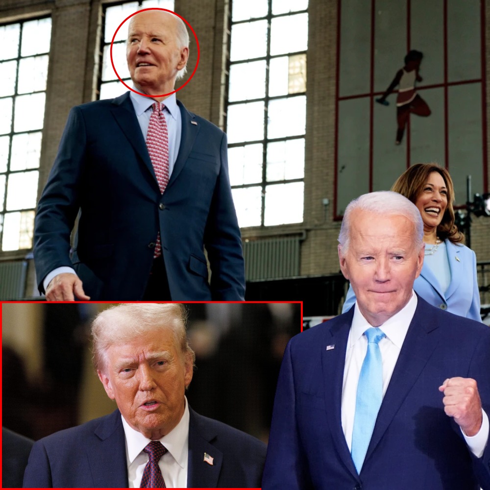 WATCH — Chuck Todd: Joe Biden’s Legacy Is ‘Donald Trump Came Back’