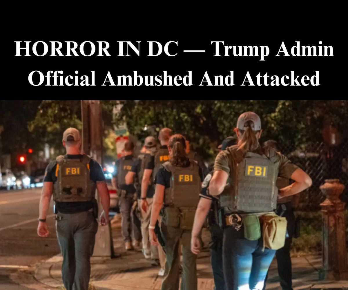 Harmeet Dhillon Says ‘Homeless Person’ Tried To Steal Her Phone In DC