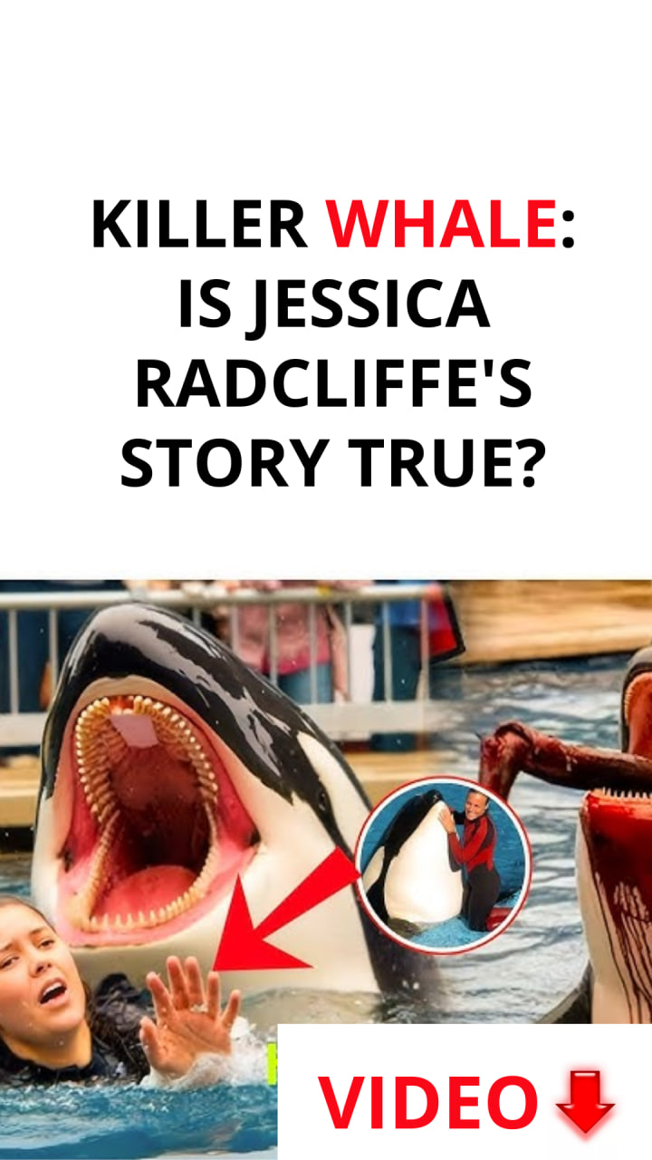 Killer Whale: Is the story of Jessica Radcliffe, now going viral on TikTok, actually true?