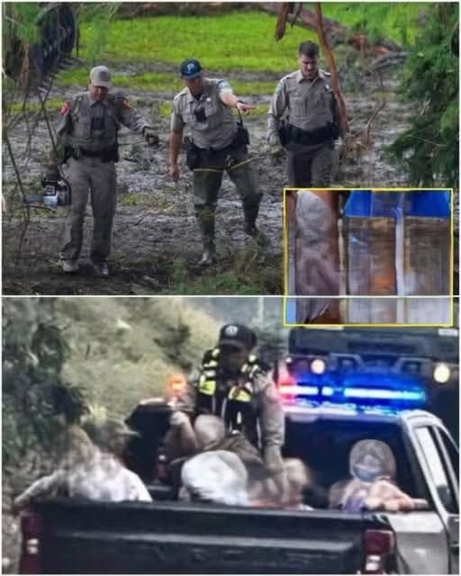 3 Missing Texas Girls Found Alive in a Hollow Tree 1 Mile From Camp