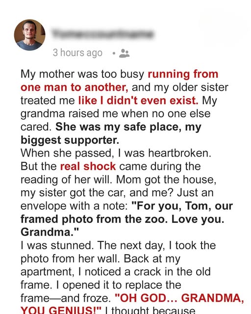 Grandma’s Last Gift: The Photo That Changed Everything