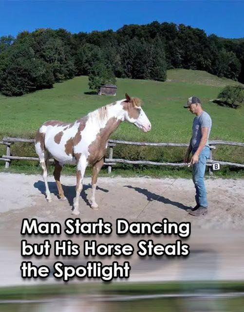 (VIDEO)Man Begins Dancing, but His Horse Takes Center Stage