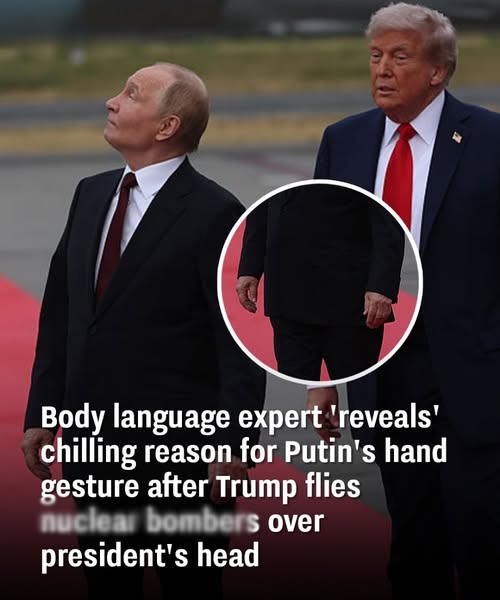 A body language expert’ reveals’ the horrifying explanation for Putin’s hand motion after Trump flies nuc:lear bo:mbe:rs over his head.