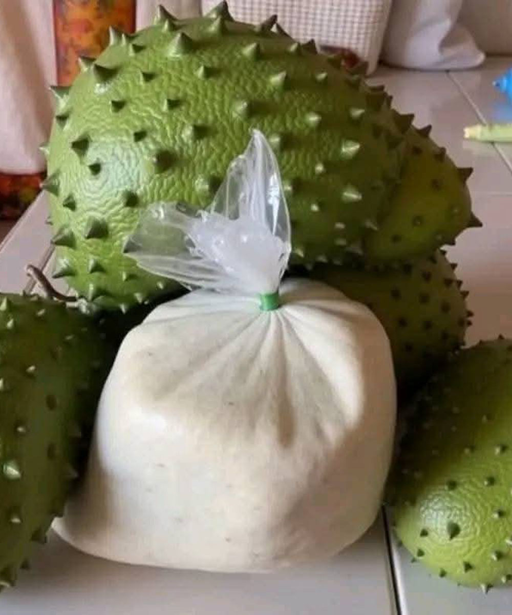 Did you know that with soursop leaf we can prevent with…