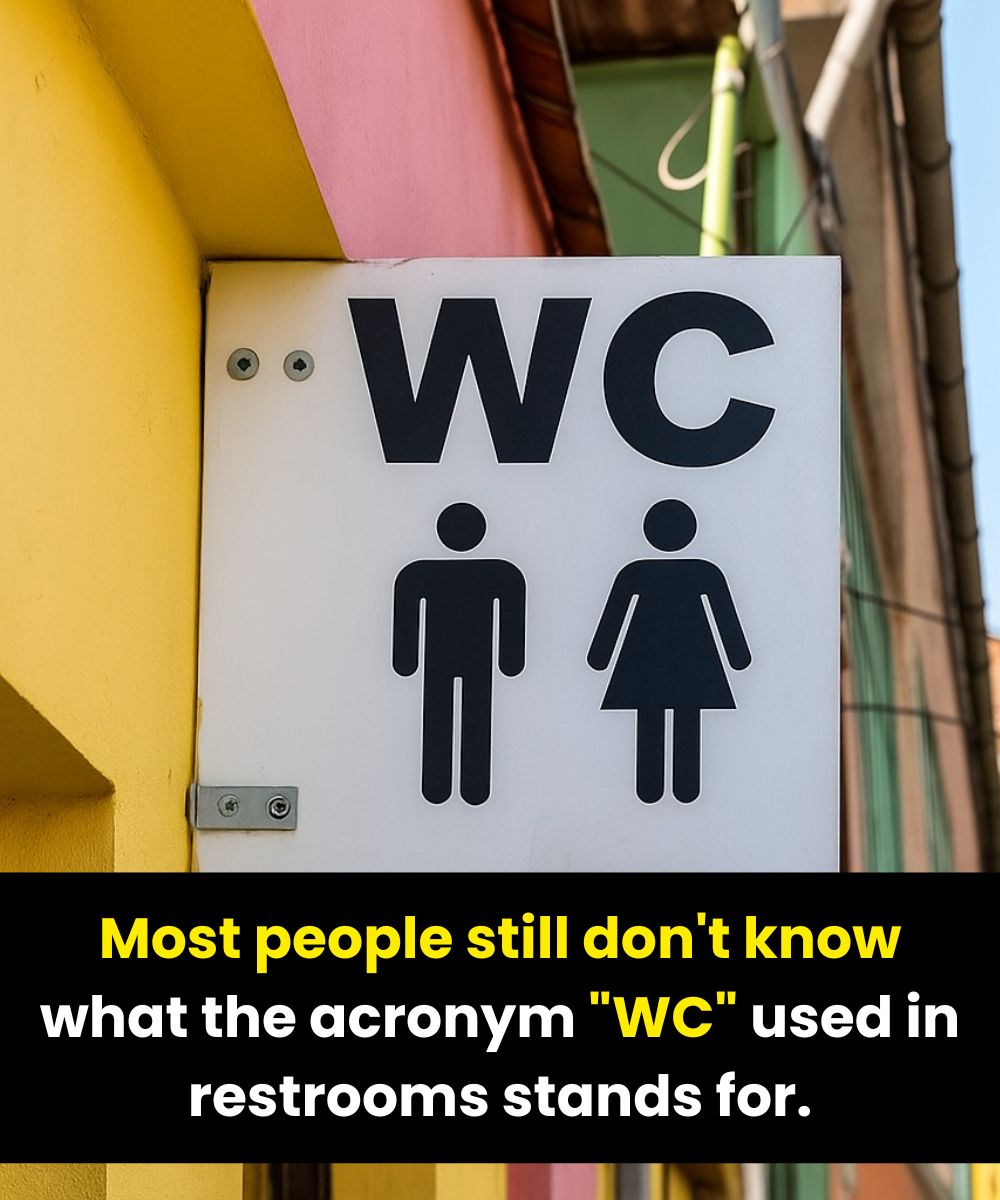 People Are Only Now Figuring Out What The WC Toilet Sign Means