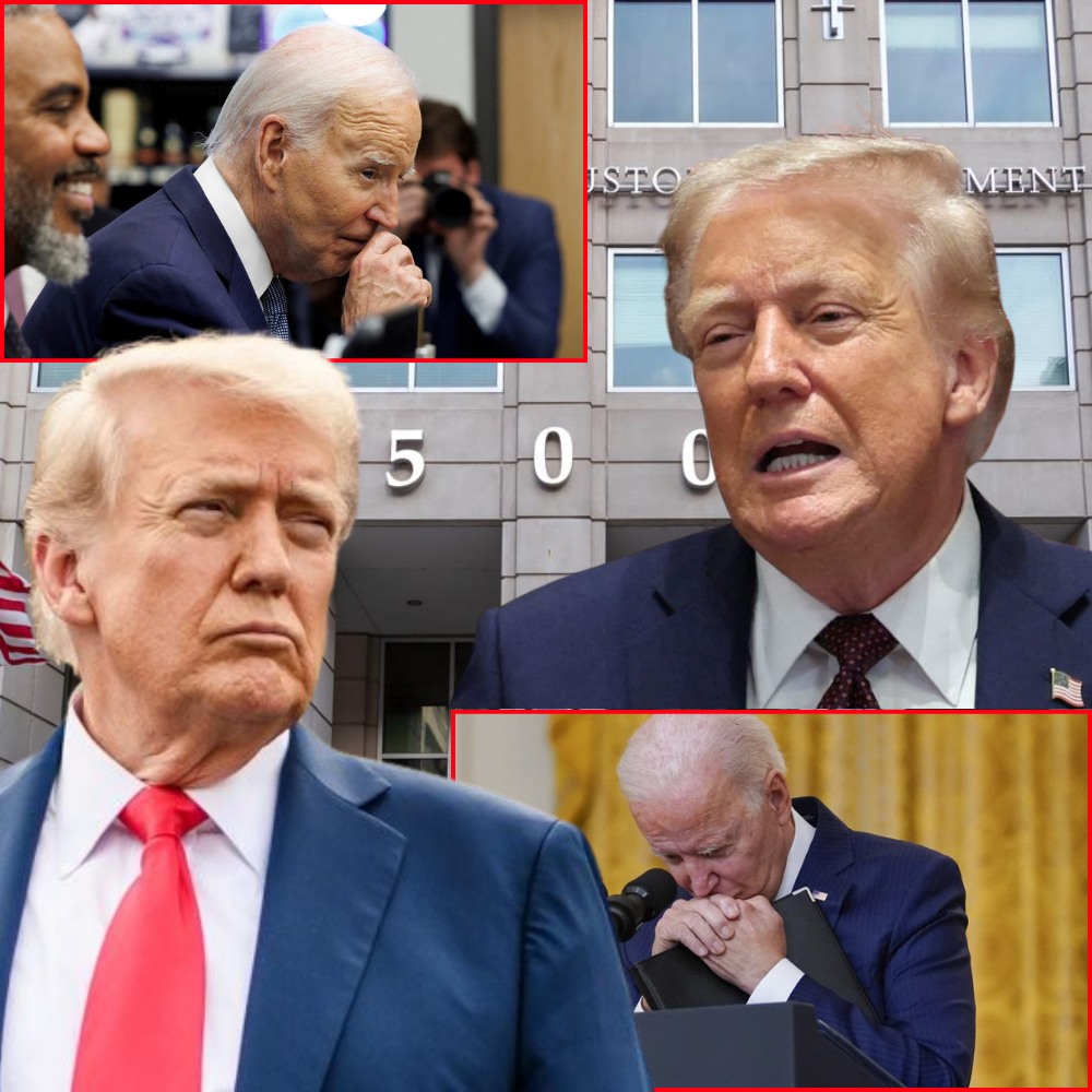 Trump Aims to Double Immigration Judges to Tackle Biden-Era Backlog of 3.5 Million Deportation Cases