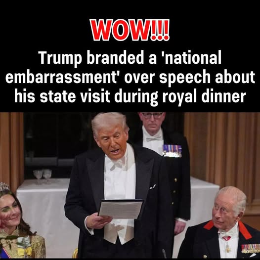 Trump’s Windsor Banquet Speech Sparks Outrage and Mockery During UK State Visit