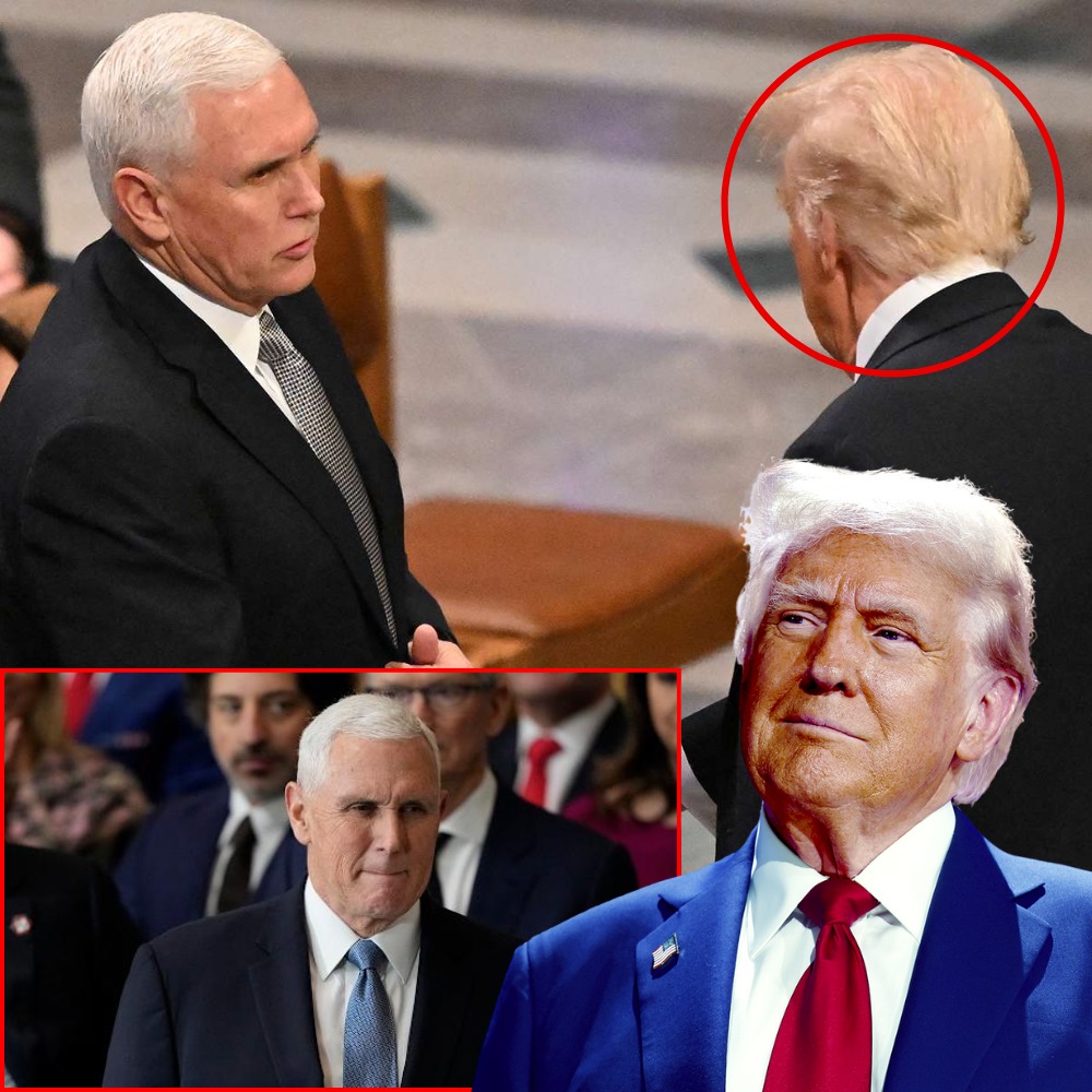 Pence Criticizes Trump: Uses a ‘Velvet Glove’ with Dictators When Tough Action Is Needed