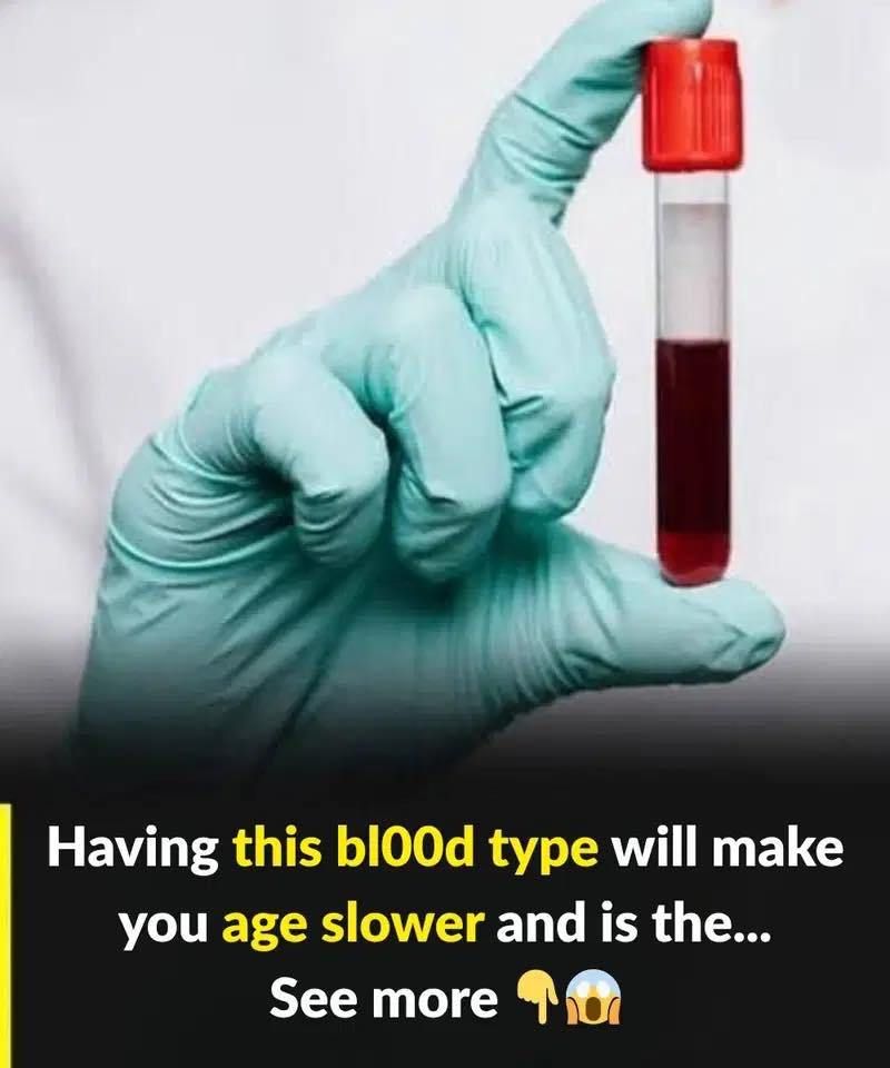 Does Your Blood Type Affect How Fast You Age? New Research Says Yes