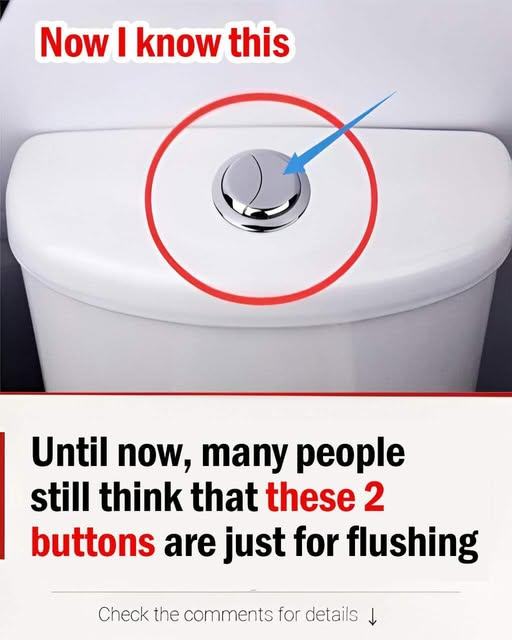 What’s the Purpose of Dual-Flush Toilet Buttons?