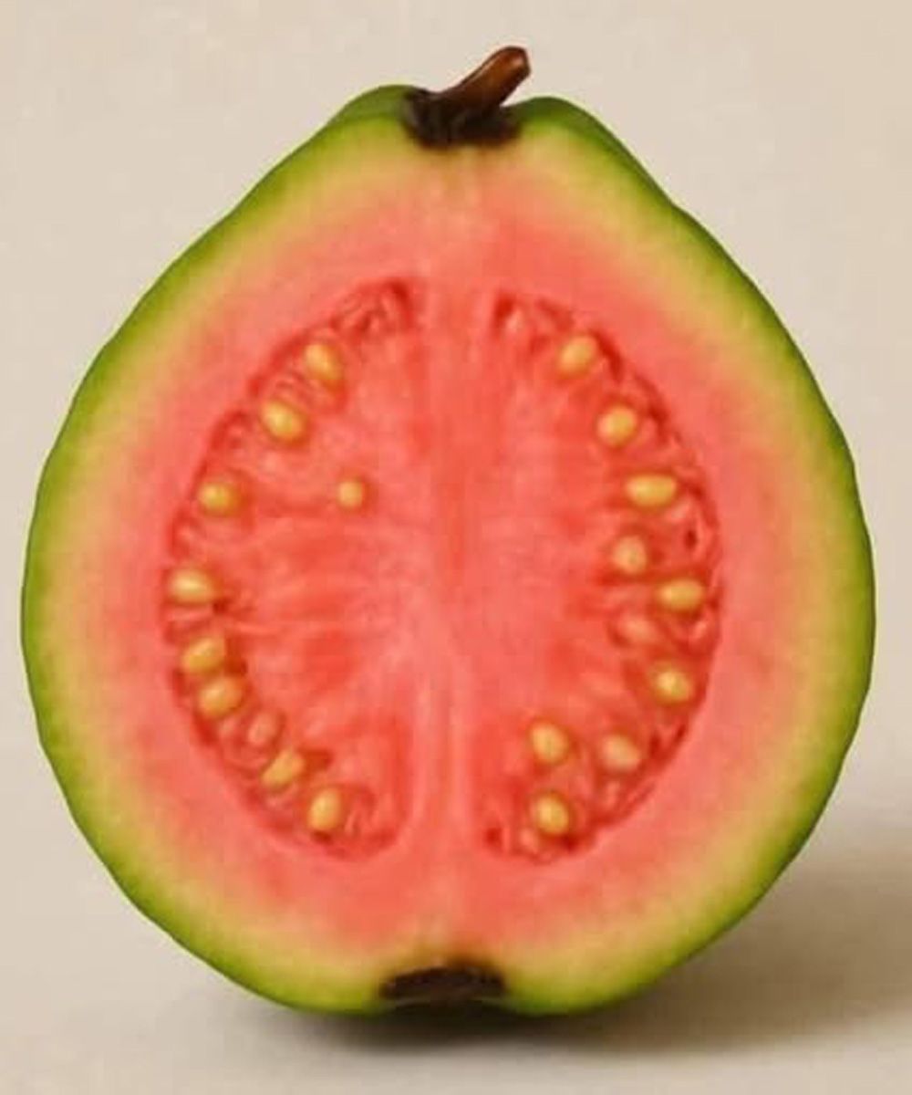 Doctors Reveal the Surprising Truth About Guava Leaf Tea: Benefits, Risks, and What Seniors Should Know