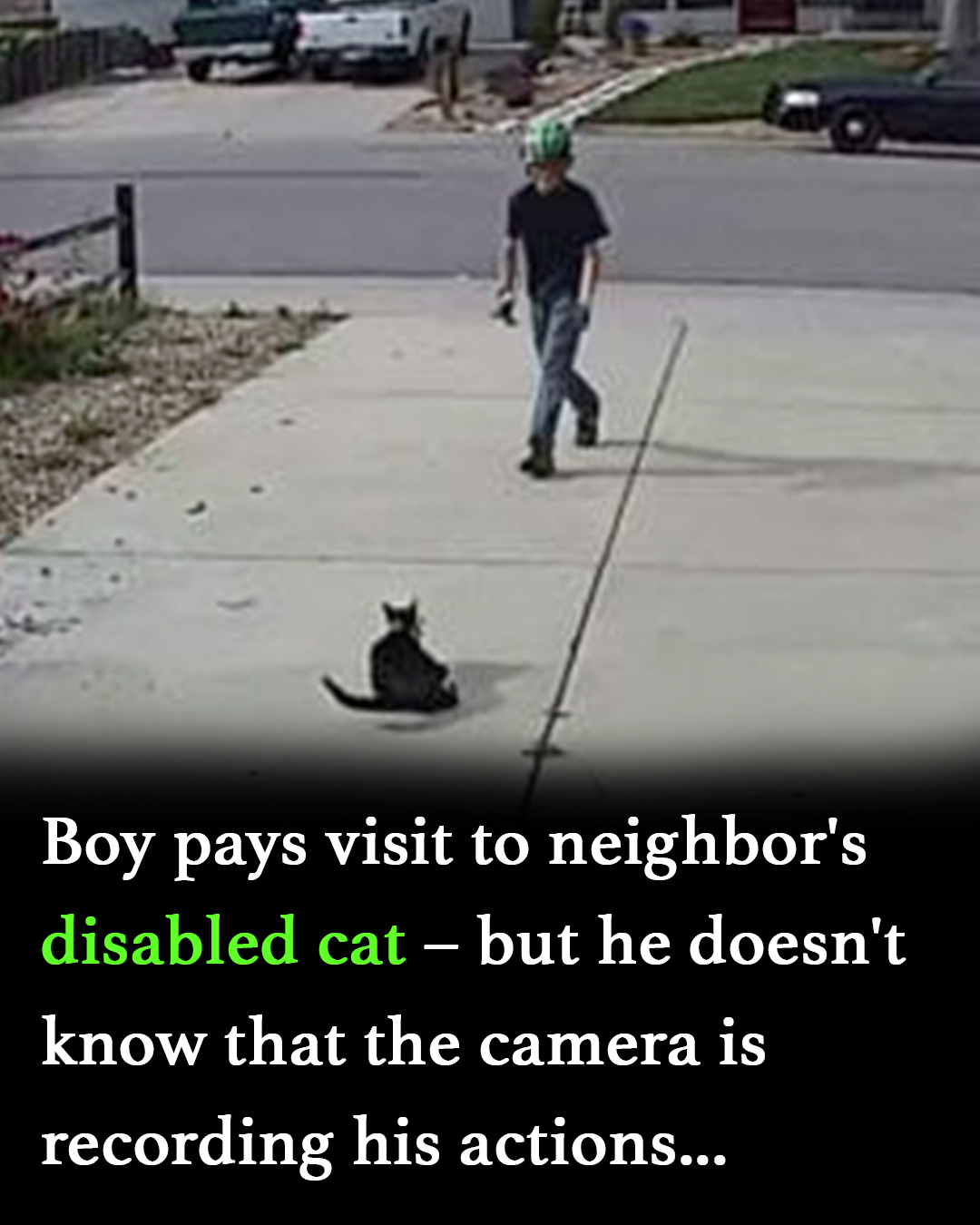 Young boy walks up to a disabled cat, unaware a camera is filming everything