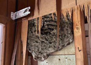 At Night We Kept Hearing Strange Scratches in the Bedroom Wall — Then My Husband Knocked It Down and Froze in Sh0ck