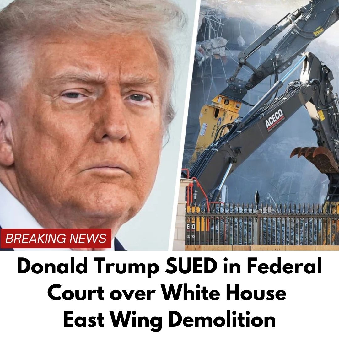 Donald Trump Faces New Lawsuit Over White House Demolition