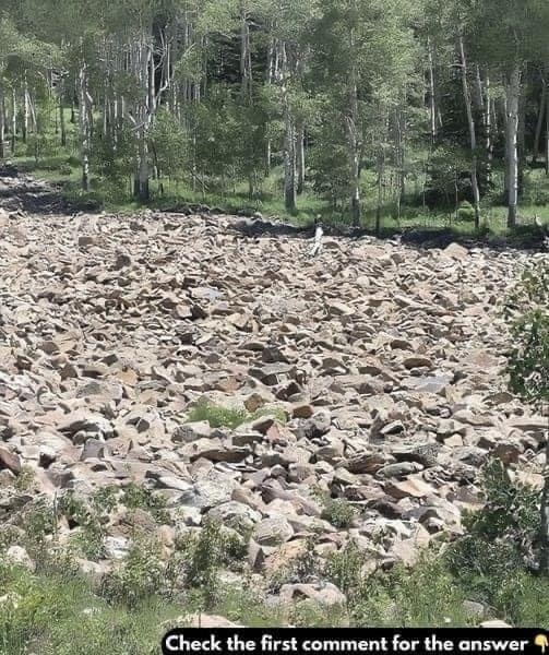 Challenge Your Eyes: Can You Find the Hidden Woman?