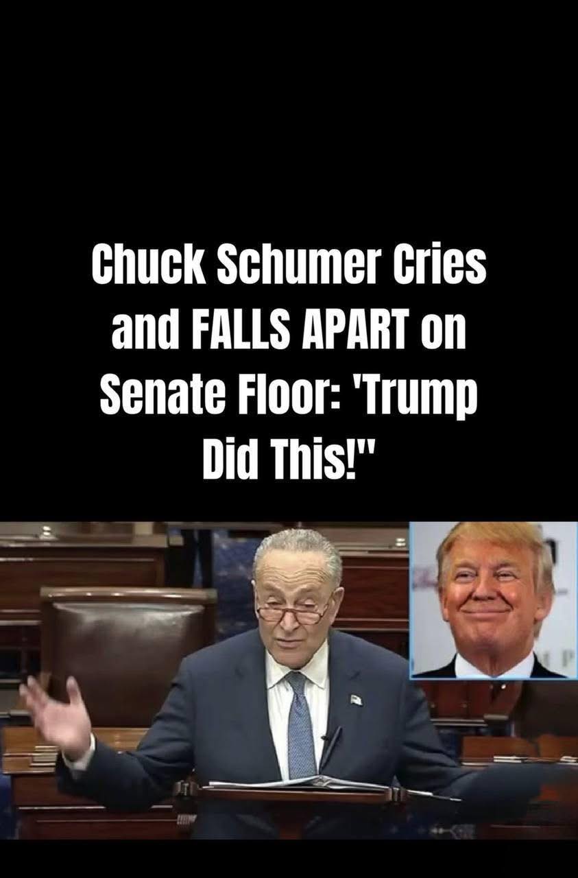 Schumer Uses Hours-Long Tactic to Stall Vote on Trump’s ‘Big, Beautiful Bill’