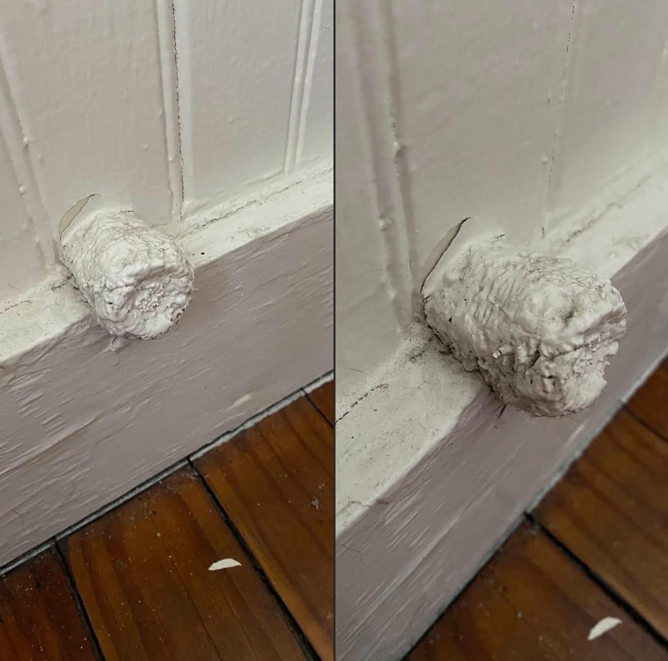 A Secret Spot Tucked Under This Century-Old Stoop